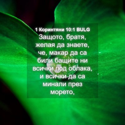 Picture 04 - 1 Коринтяни 10:1 BULG - Защото, братя, желая да - Bible Verse Picture