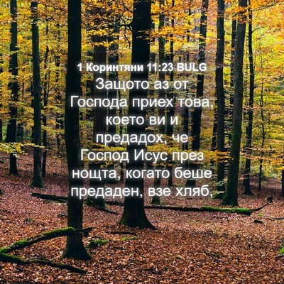 Picture 04 - 1 Коринтяни 11:23 BULG - Защото аз от Господа приех - Bible Verse Picture