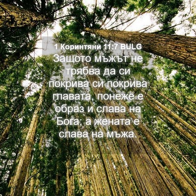 Picture 04 - 1 Коринтяни 11:7 BULG - Защото мъжът не трябва да - Bible Verse Picture