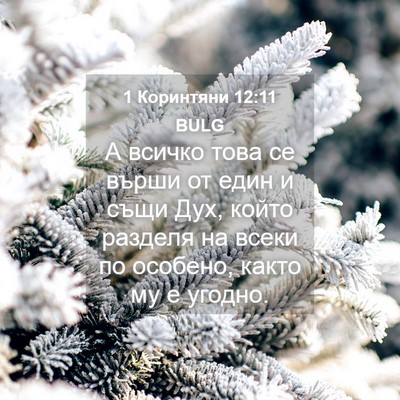 Picture 04 - 1 Коринтяни 12:11 BULG - А всичко това се върши от - Bible Verse Picture