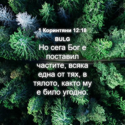 Picture 04 - 1 Коринтяни 12:18 BULG - Но сега Бог е поставил - Bible Verse Picture
