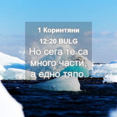 Picture 04 - 1 Коринтяни 12:20 BULG - Но сега те са много части, а - Bible Verse Picture