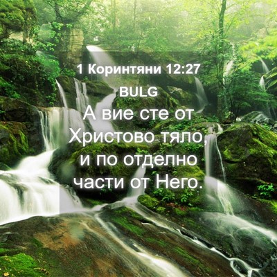 Picture 04 - 1 Коринтяни 12:27 BULG - А вие сте от Христово тяло, - Bible Verse Picture