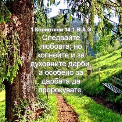 Picture 04 - 1 Коринтяни 14:1 BULG - Следвайте любовта; но - Bible Verse Picture