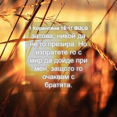 Picture 04 - 1 Коринтяни 16:11 BULG - затова, никой да не го - Bible Verse Picture