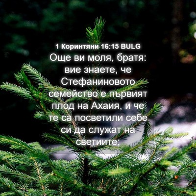 Picture 04 - 1 Коринтяни 16:15 BULG - Още ви моля, братя: вие - Bible Verse Picture