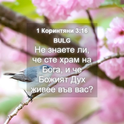 Picture 04 - 1 Коринтяни 3:16 BULG - Не знаете ли, че сте храм на - Bible Verse Picture