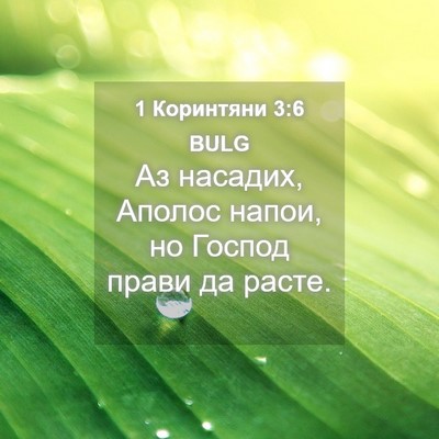 Picture 04 - 1 Коринтяни 3:6 BULG - Аз насадих, Аполос напои, - Bible Verse Picture