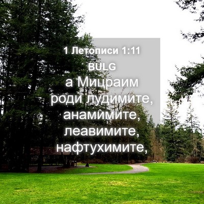 Picture 04 - 1 Летописи 1:11 BULG - а Мицраим роди лудимите, - Bible Verse Picture
