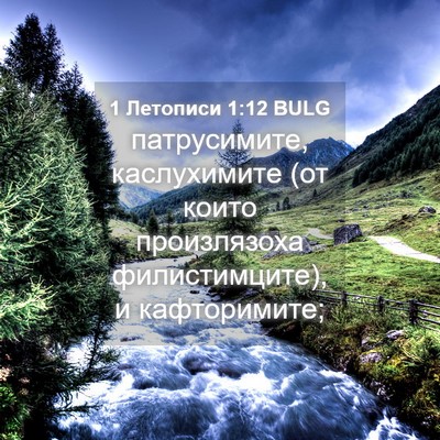 Picture 04 - 1 Летописи 1:12 BULG - патрусимите, каслухимите - Bible Verse Picture