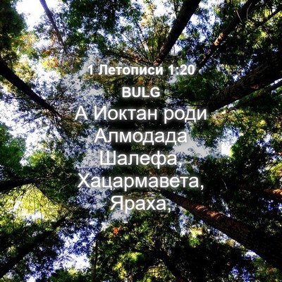 Picture 04 - 1 Летописи 1:20 BULG - А Иоктан роди Алмодада - Bible Verse Picture