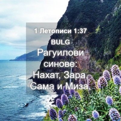 Picture 04 - 1 Летописи 1:37 BULG - Рагуилови синове: Нахат, - Bible Verse Picture