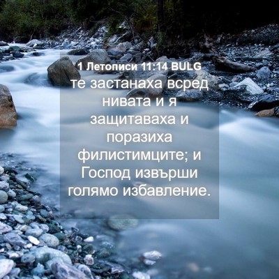 Picture 04 - 1 Летописи 11:14 BULG - те застанаха всред нивата - Bible Verse Picture