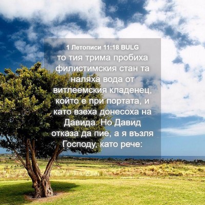 Picture 04 - 1 Летописи 11:18 BULG - то тия трима пробиха - Bible Verse Picture