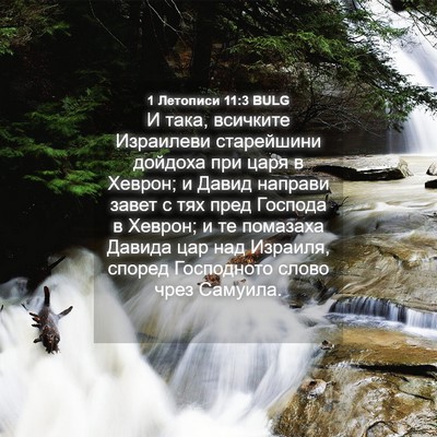 Picture 04 - 1 Летописи 11:3 BULG - И така, всичките Израилеви - Bible Verse Picture