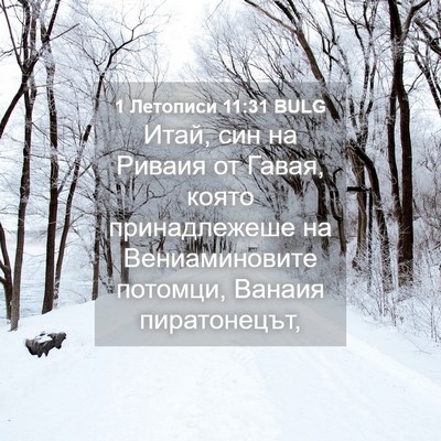 Picture 04 - 1 Летописи 11:31 BULG - Итай, син на Риваия от - Bible Verse Picture