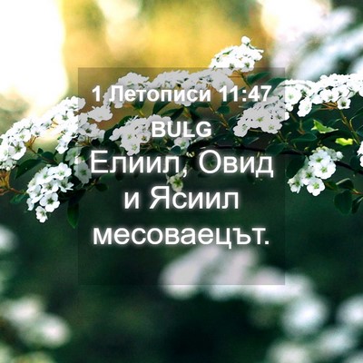 Picture 04 - 1 Летописи 11:47 BULG - Елиил, Овид и Ясиил - Bible Verse Picture