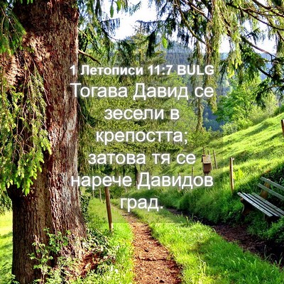 Picture 04 - 1 Летописи 11:7 BULG - Тогава Давид се зесели в - Bible Verse Picture