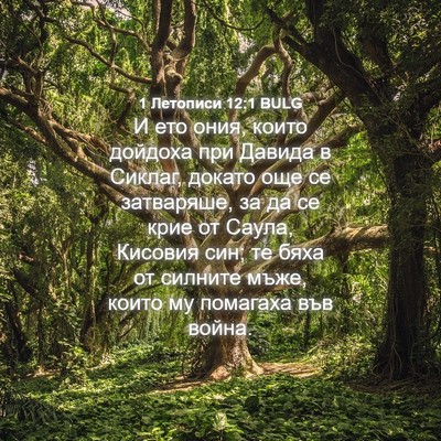 Picture 04 - 1 Летописи 12:1 BULG - И ето ония, които дойдоха - Bible Verse Picture