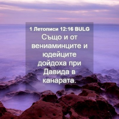 Picture 04 - 1 Летописи 12:16 BULG - Също и от вениаминците и - Bible Verse Picture