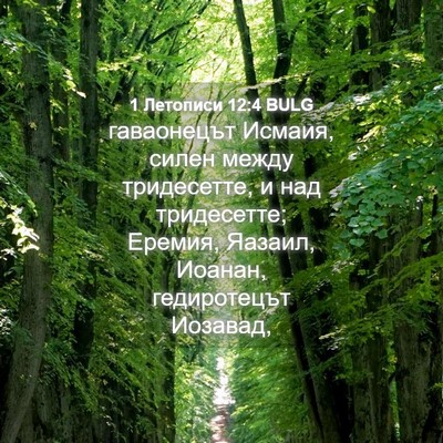Picture 04 - 1 Летописи 12:4 BULG - гаваонецът Исмаия, силен - Bible Verse Picture
