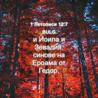 Picture 04 - 1 Летописи 12:7 BULG - и Иоила и Зевадия, синове - Bible Verse Picture