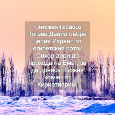Picture 04 - 1 Летописи 13:5 BULG - Тогава Давид събра целия - Bible Verse Picture
