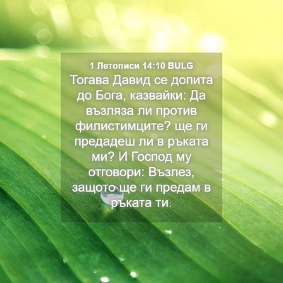 Picture 04 - 1 Летописи 14:10 BULG - Тогава Давид се допита до - Bible Verse Picture