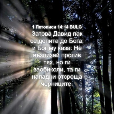 Picture 04 - 1 Летописи 14:14 BULG - Затова Давид пак се допита - Bible Verse Picture