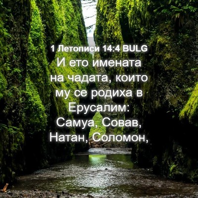 Picture 04 - 1 Летописи 14:4 BULG - И ето имената на чадата, - Bible Verse Picture