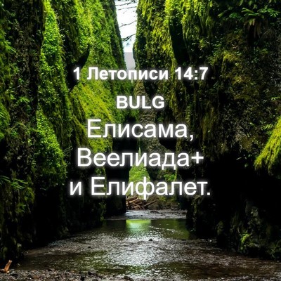 Picture 04 - 1 Летописи 14:7 BULG - Елисама, Веелиада+ и - Bible Verse Picture