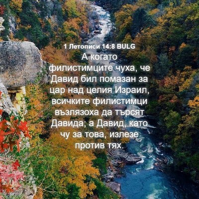 Picture 04 - 1 Летописи 14:8 BULG - А когато филистимците - Bible Verse Picture