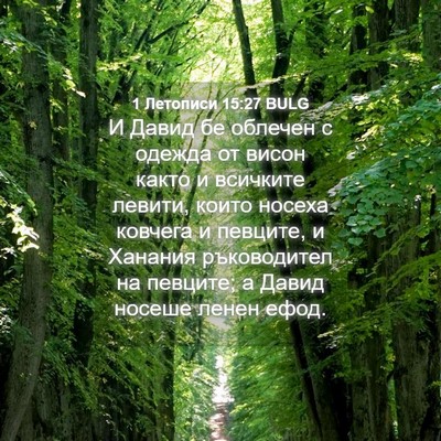 Picture 04 - 1 Летописи 15:27 BULG - И Давид бе облечен с одежда - Bible Verse Picture