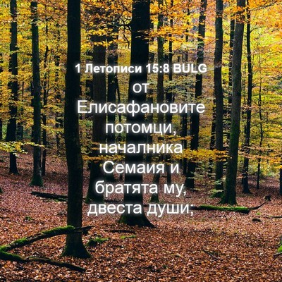 Picture 04 - 1 Летописи 15:8 BULG - от Елисафановите потомци, - Bible Verse Picture