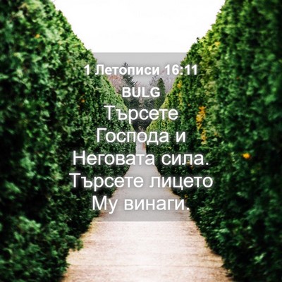 Picture 04 - 1 Летописи 16:11 BULG - Търсете Господа и Неговата - Bible Verse Picture