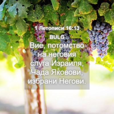 Picture 04 - 1 Летописи 16:13 BULG - Вие, потомство на неговия - Bible Verse Picture