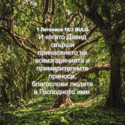 Picture 04 - 1 Летописи 16:2 BULG - И когато Давид свърши - Bible Verse Picture