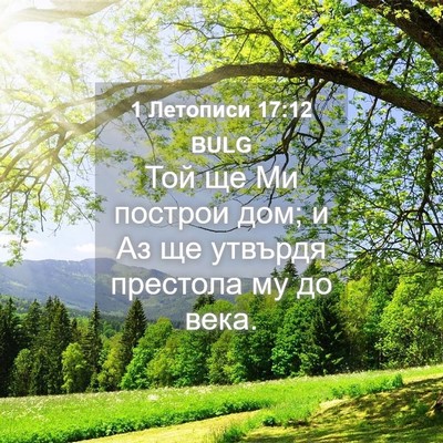 Picture 04 - 1 Летописи 17:12 BULG - Той ще Ми построи дом; и Аз - Bible Verse Picture