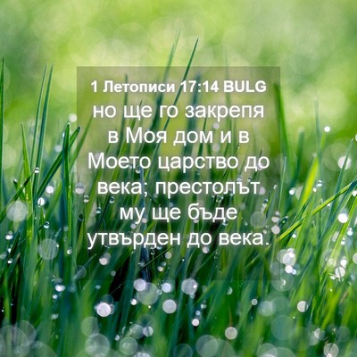 Picture 04 - 1 Летописи 17:14 BULG - но ще го закрепя в Моя дом и - Bible Verse Picture