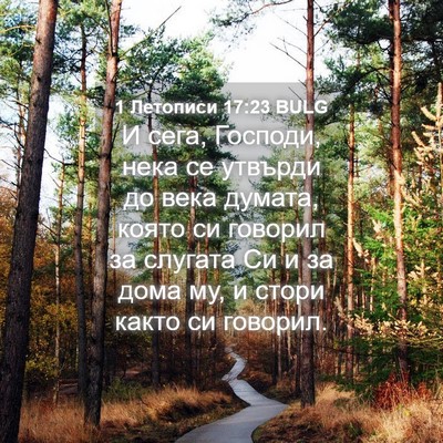Picture 04 - 1 Летописи 17:23 BULG - И сега, Господи, нека се - Bible Verse Picture