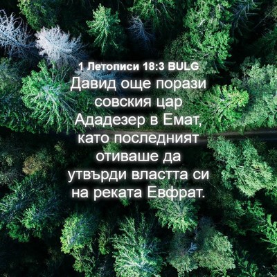 Picture 04 - 1 Летописи 18:3 BULG - Давид още порази совския - Bible Verse Picture