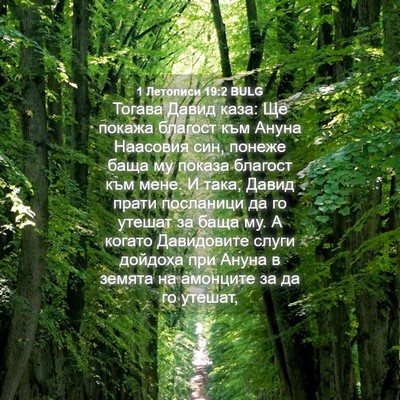Picture 04 - 1 Летописи 19:2 BULG - Тогава Давид каза: Ще - Bible Verse Picture
