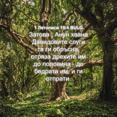 Picture 04 - 1 Летописи 19:4 BULG - Затова , Анун хвана - Bible Verse Picture