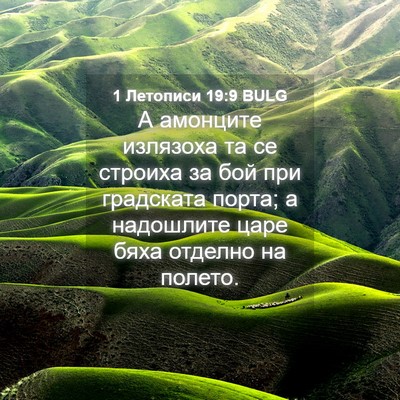 Picture 04 - 1 Летописи 19:9 BULG - А амонците излязоха та се - Bible Verse Picture