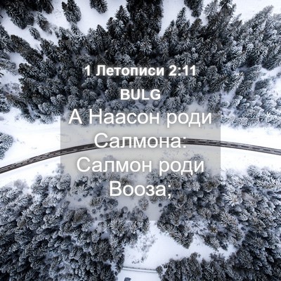 Picture 04 - 1 Летописи 2:11 BULG - А Наасон роди Салмона: - Bible Verse Picture