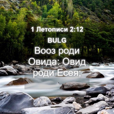 Picture 04 - 1 Летописи 2:12 BULG - Вооз роди Овида: Овид роди - Bible Verse Picture