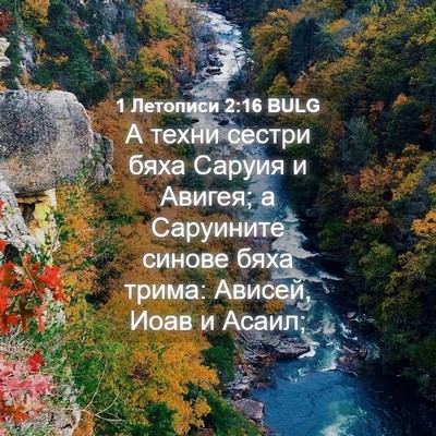 Picture 04 - 1 Летописи 2:16 BULG - А техни сестри бяха Саруия - Bible Verse Picture