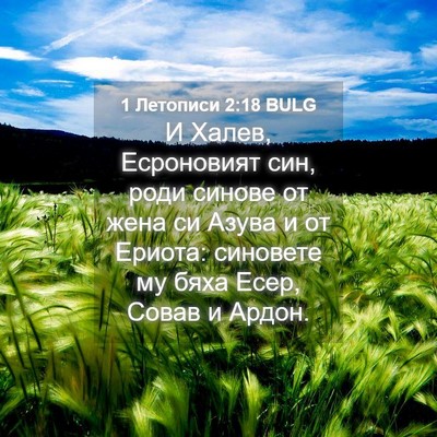 Picture 04 - 1 Летописи 2:18 BULG - И Халев, Есроновият син, - Bible Verse Picture
