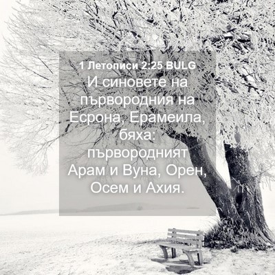 Picture 04 - 1 Летописи 2:25 BULG - И синовете на първородния - Bible Verse Picture