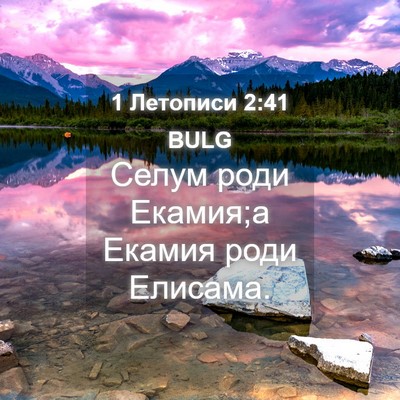Picture 04 - 1 Летописи 2:41 BULG - Селум роди Екамия;а Екамия - Bible Verse Picture